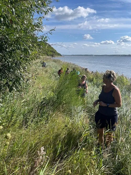 Bewegwijzerde natuurroute in Vesthimmerland