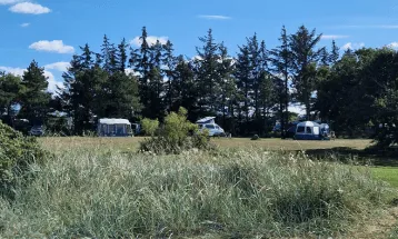 Het grasveld direct aan de Limfjord