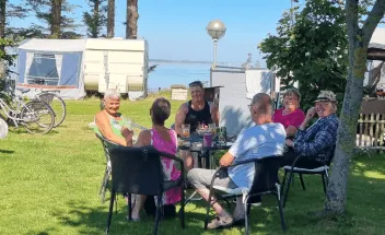 Afslapning i skyggen under træet