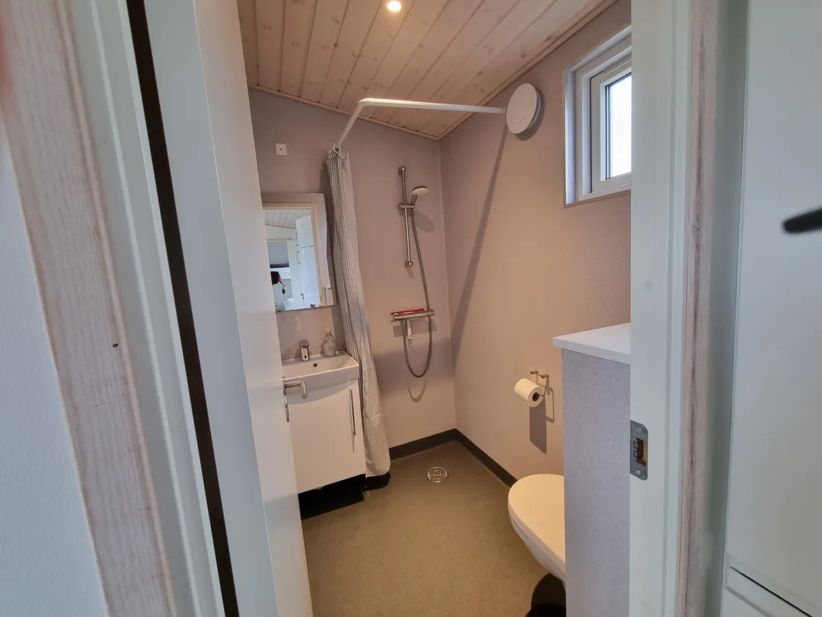 Badkamer met douche, wastafel en toilet in het Premium Limfjord-huisje