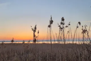 Zonsondergang bij het strand