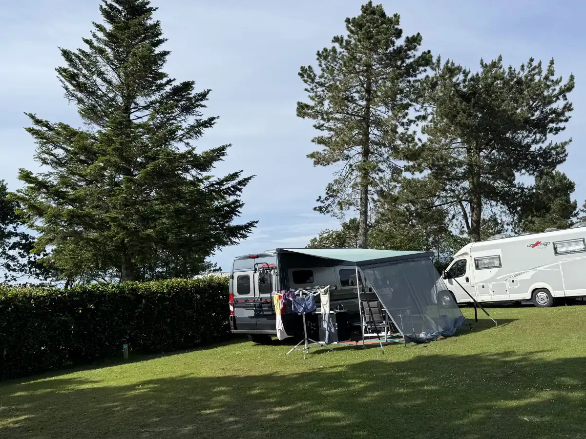 Campervan met luifel op een standaardplaats onder hoge dennenbomen