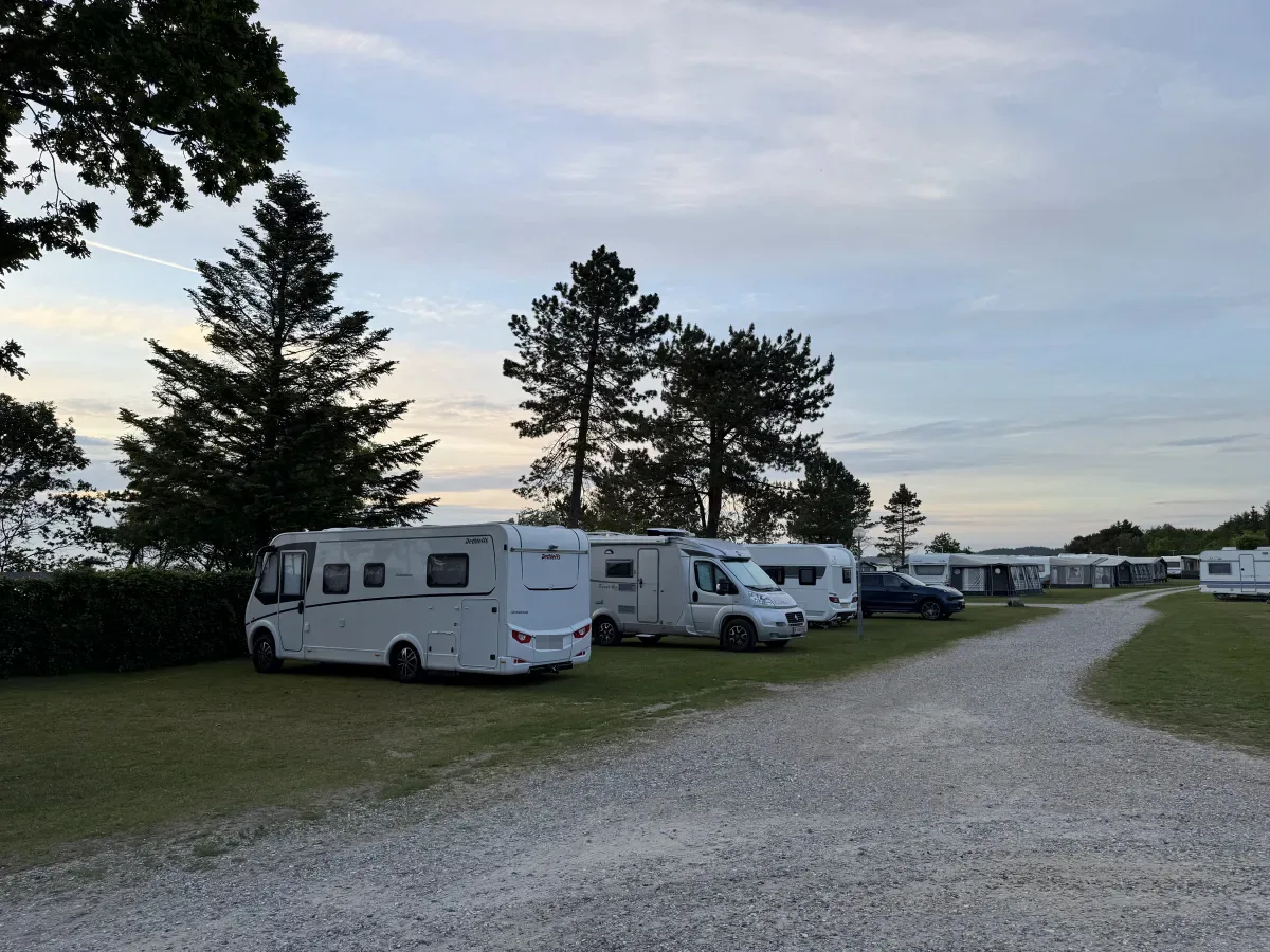 Campers op standaardplaatsen langs het grindpad in het avondlicht