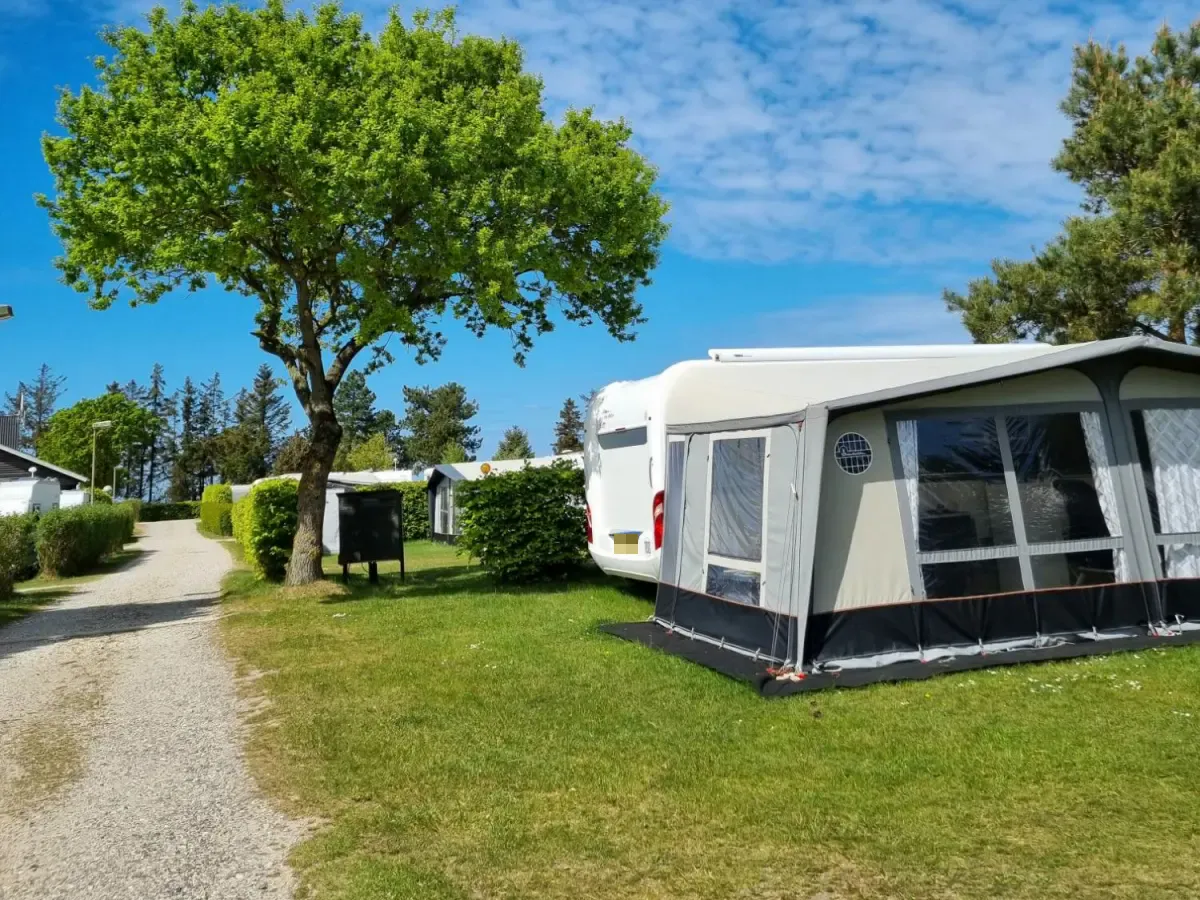 Caravan met voortent op een standaardplaats onder een grote boom langs het grindpad