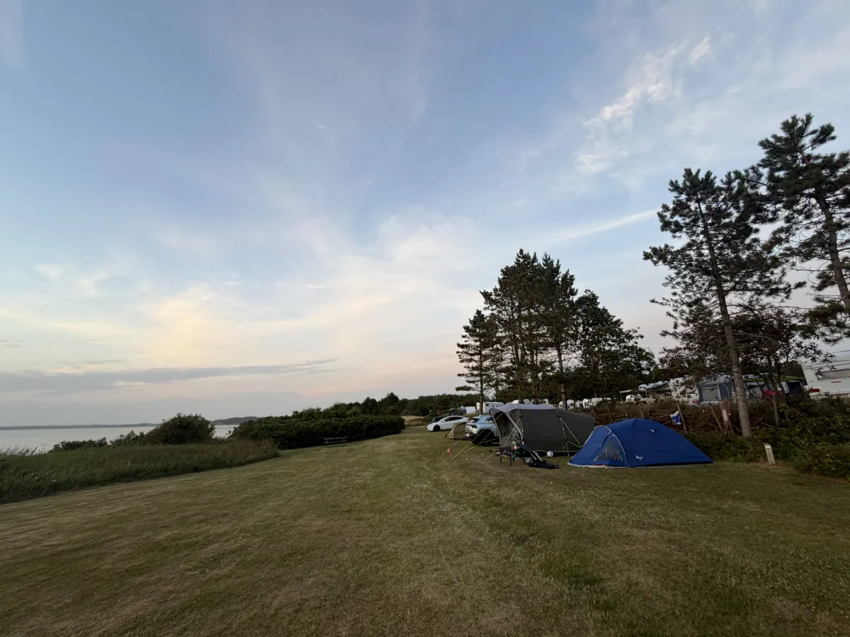 Tenten op het gras aan de Limfjord in het avondlicht