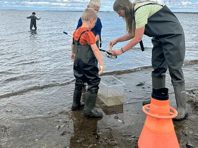 Kinderen vangen met waadpakken krabben in de Limfjord