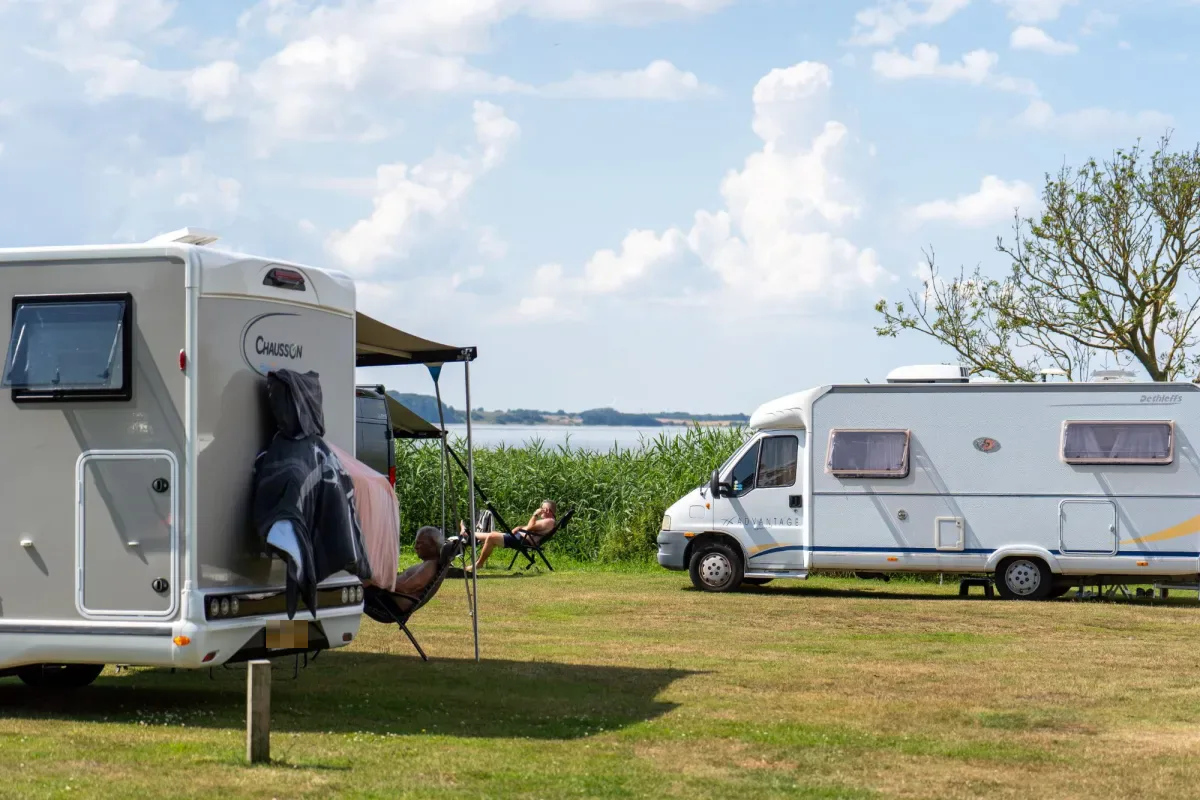 Motorhomes and guests in the sun with the Limfjord just beyond the reeds