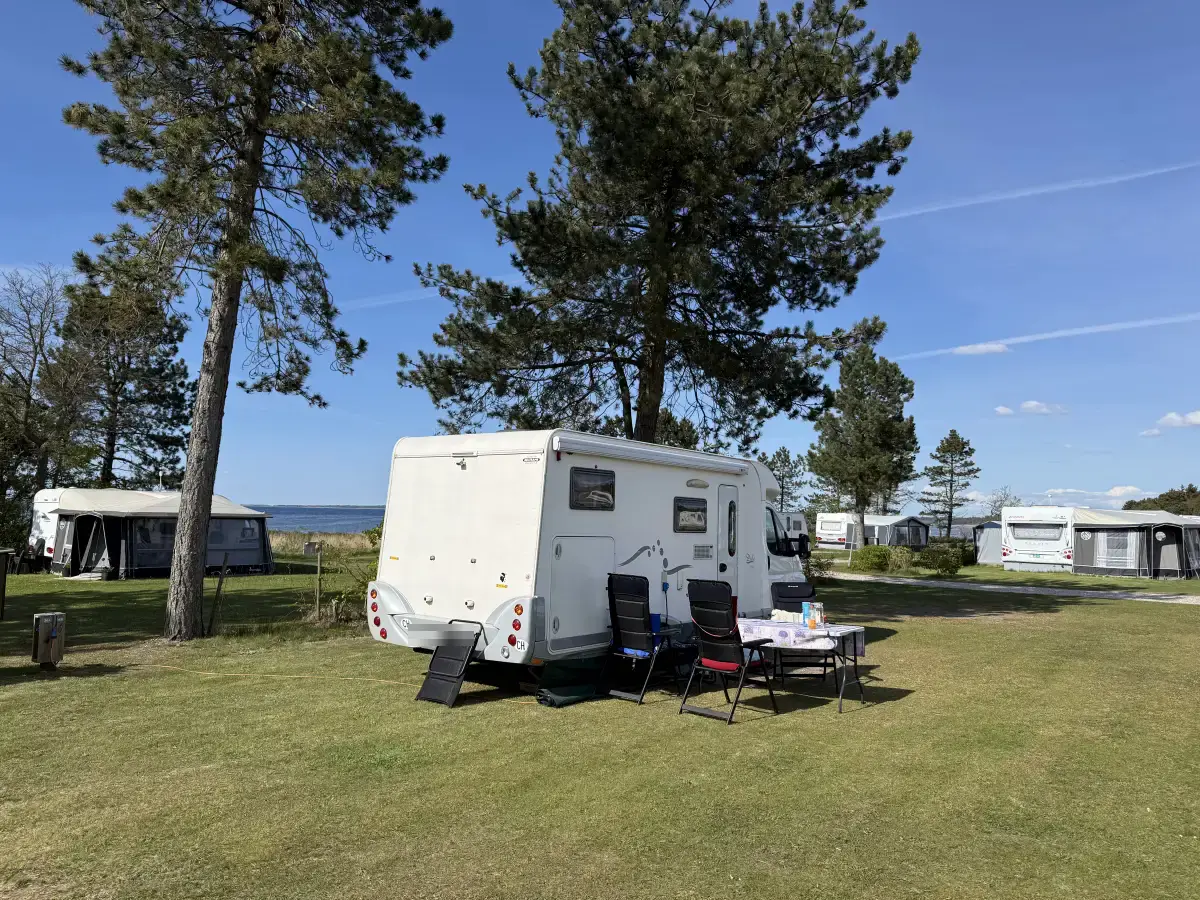 Camper met stoelen en tafel op een uitzichtplaats met de fjord tussen de dennen