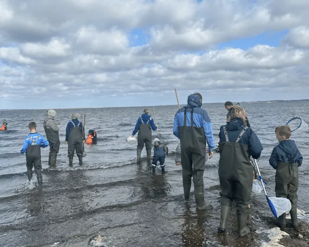 Waadpak in de Limfjord